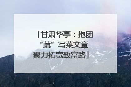 甘肃华亭：抱团“蔬”写菜文章 聚力拓宽致富路