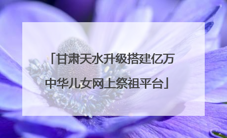 甘肃天水升级搭建亿万中华儿女网上祭祖平台