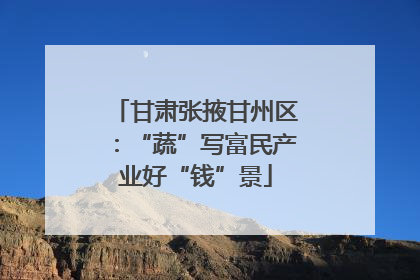 甘肃张掖甘州区：“蔬”写富民产业好“钱”景