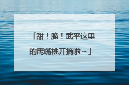 甜！脆！武平这里的鹰嘴桃开摘啦～