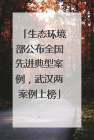 生态环境部公布全国先进典型案例，武汉两案例上榜