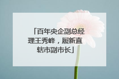 百年央企副总经理王秀峰，履新直辖市副市长
