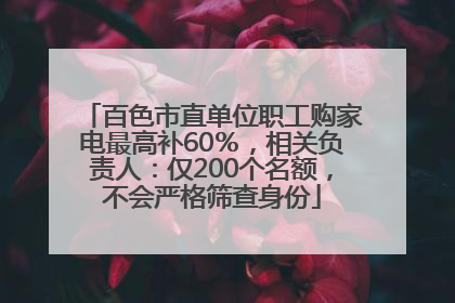 百色市直单位职工购家电最高补60％，相关负责人：仅200个名额，不会严格筛查身份