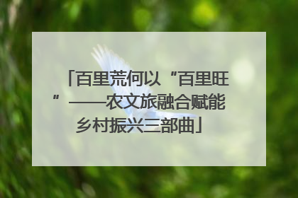 百里荒何以“百里旺”——农文旅融合赋能乡村振兴三部曲