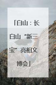 白山：长白山“新三宝”亮相文博会