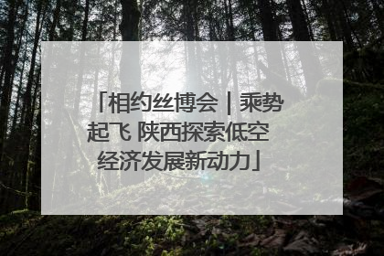 相约丝博会｜乘势起飞 陕西探索低空经济发展新动力