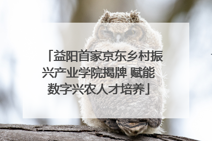 益阳首家京东乡村振兴产业学院揭牌 赋能数字兴农人才培养