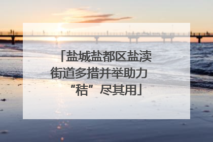 盐城盐都区盐渎街道多措并举助力“秸”尽其用