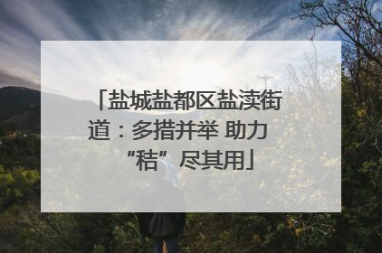 盐城盐都区盐渎街道：多措并举 助力“秸”尽其用