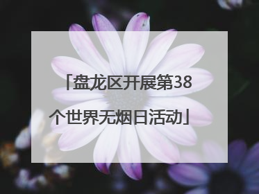 盘龙区开展第38个世界无烟日活动
