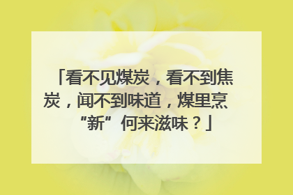 看不见煤炭，看不到焦炭，闻不到味道，煤里烹“新”何来滋味？