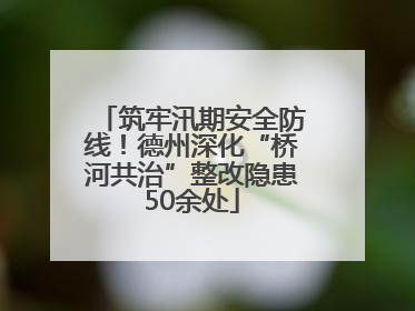 筑牢汛期安全防线！德州深化“桥河共治”整改隐患50余处