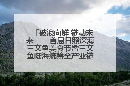 破浪向鲜 链动未来——首届日照深海三文鱼美食节暨三文鱼陆海统筹全产业链发展会议嘉宾访谈