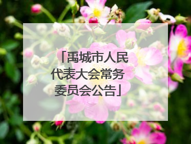禹城市人民代表大会常务委员会公告