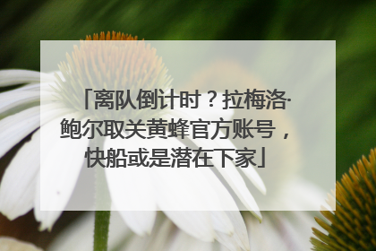离队倒计时？拉梅洛·鲍尔取关黄蜂官方账号，快船或是潜在下家
