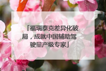 福瑞泰克差异化破局,成就中国辅助驾驶量产级专家