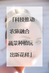 科技推动农旅融合 蔬菜种植玩出新花样