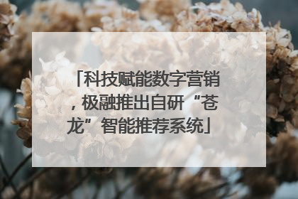 科技赋能数字营销，极融推出自研“苍龙”智能推荐系统
