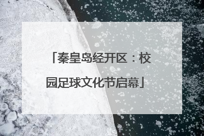 秦皇岛经开区：校园足球文化节启幕