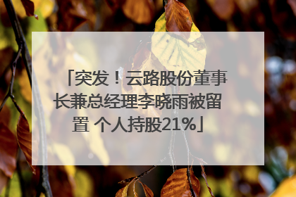 突发！云路股份董事长兼总经理李晓雨被留置 个人持股21%