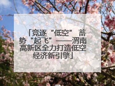 竞逐“低空” 蓄势“起飞”——渭南高新区全力打造低空经济新引擎