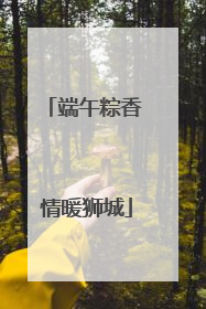 端午粽香 情暖狮城