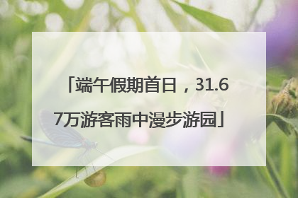 端午假期首日，31.67万游客雨中漫步游园
