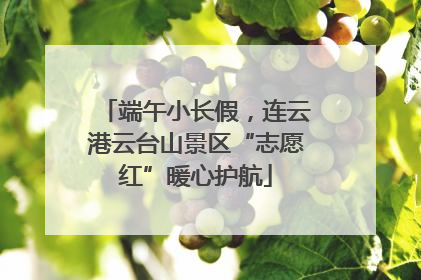 端午小长假，连云港云台山景区“志愿红”暖心护航