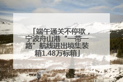 端午通关不停歇，宁波舟山港“一带一路”航线进出境集装箱1.48万标箱