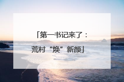 第一书记来了：荒村“焕”新颜