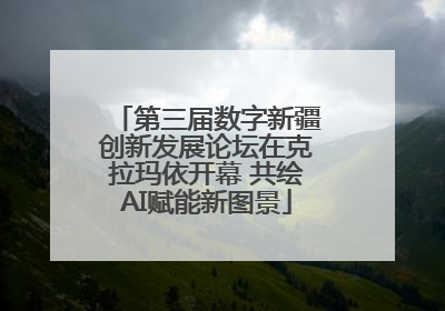 第三届数字新疆创新发展论坛在克拉玛依开幕 共绘AI赋能新图景
