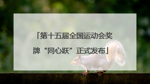 第十五届全国运动会奖牌“同心跃”正式发布