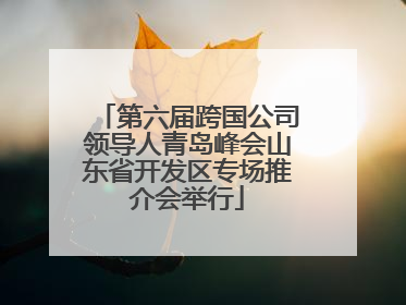 第六届跨国公司领导人青岛峰会山东省开发区专场推介会举行