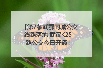 第7条武鄂同城公交线路落地 武汉K25路公交今日开通