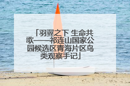 羽翼之下 生命共歌——祁连山国家公园候选区青海片区鸟类观察手记