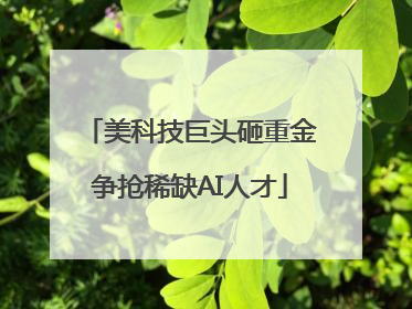 美科技巨头砸重金争抢稀缺AI人才