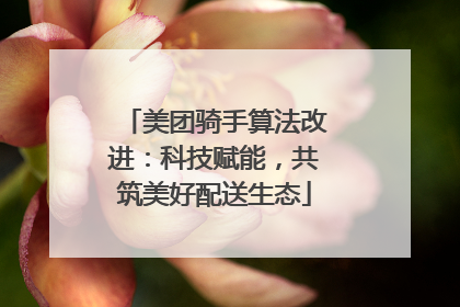 美团骑手算法改进：科技赋能，共筑美好配送生态