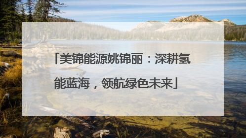 美锦能源姚锦丽：深耕氢能蓝海，领航绿色未来