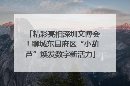 精彩亮相深圳文博会！聊城东昌府区“小葫芦”焕发数字新活力