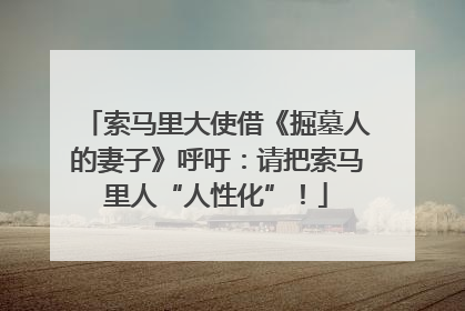 索马里大使借《掘墓人的妻子》呼吁：请把索马里人“人性化”！