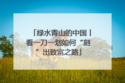 绿水青山的中国丨看一刀一划如何“刻”出致富之路