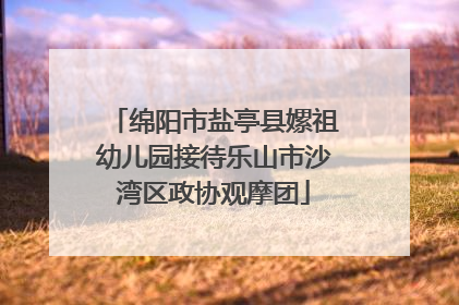 绵阳市盐亭县嫘祖幼儿园接待乐山市沙湾区政协观摩团
