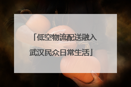 低空物流配送融入武汉民众日常生活