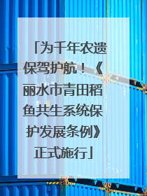 为千年农遗保驾护航！《丽水市青田稻鱼共生系统保护发展条例》正式施行