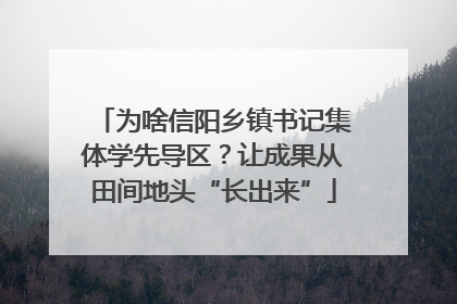 为啥信阳乡镇书记集体学先导区？让成果从田间地头“长出来”