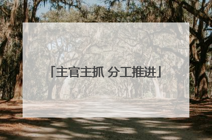 主官主抓 分工推进