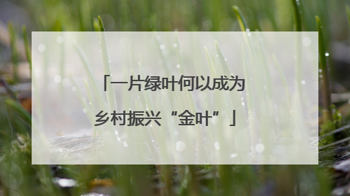 一片绿叶何以成为乡村振兴“金叶”