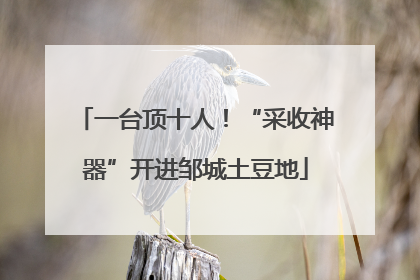 一台顶十人！“采收神器”开进邹城土豆地
