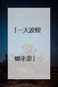 一大波螳螂来袭
