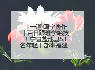 一道·闽宁协作丨百日跟班学绝技！宁夏盐池县53名年轻干部来福建取“真经”